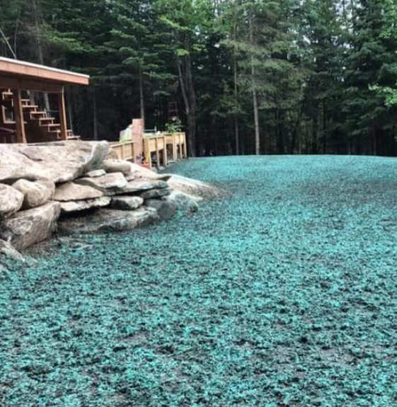 Hydro-semence gazon pelouse Sherbrooke